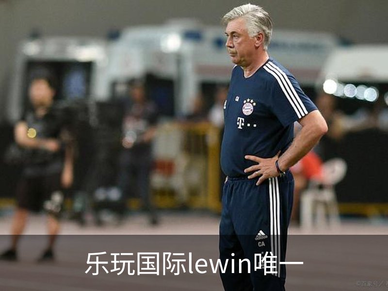 乐玩国际lewin唯一概况